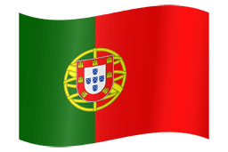 Português language